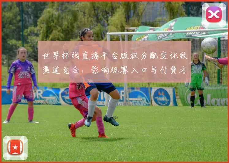 世界杯线直播平台版权分配变化致渠道竞合，影响观赛入口与付费方案